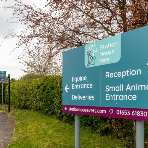 Wayfinding Signage